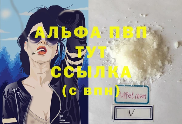 стафф Вязьма