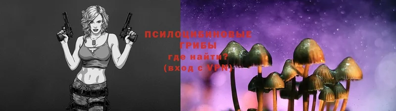 наркошоп  Златоуст  Псилоцибиновые грибы MAGIC MUSHROOMS 