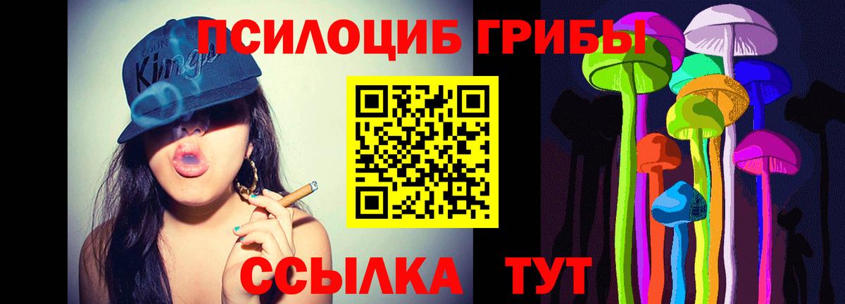 Галлюциногенные грибы Psilocybe  Псилоцибиновые грибы Psilocybine cubensis  Вход с VPN  Златоуст 